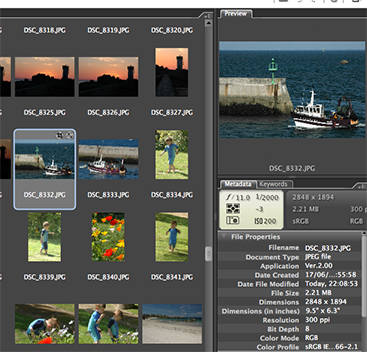 JPEG file edited with Adobe Camera Raw 4.0 and viewed in Bridge CS3