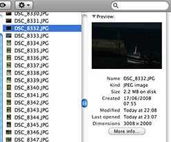 JPEG file edited with Adobe Camera Raw 4.0 and viewed in the Mac OS X Finder