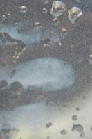 Damage caused by sunscreen coming into contact with car paintwork